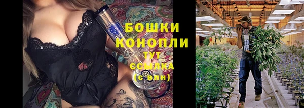 шишки Грязи