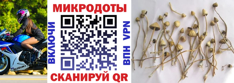 Галлюциногенные грибы Psilocybine cubensis Красный Кут